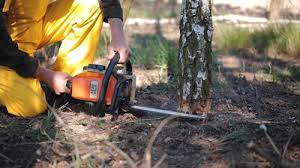 Soil Testing and Treatment in Nassau Bay, TX